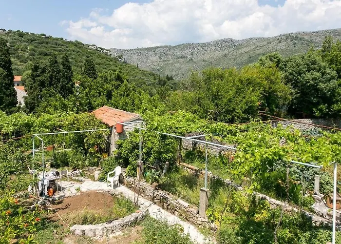 - Veliki *